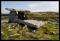 b070915 - 2944 - Poulnabrone Dolmen