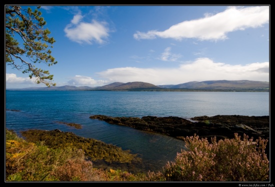 b070917 - 3464 - Kenmare River