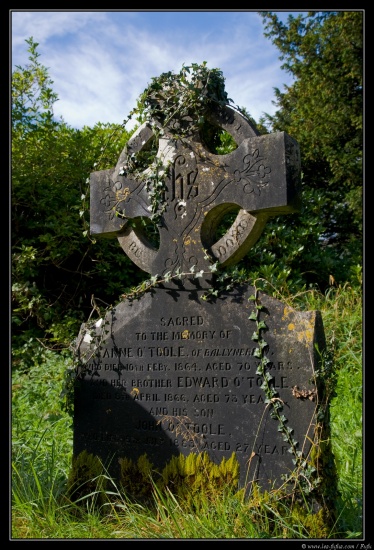 b070921 - 4139 - Glendalough