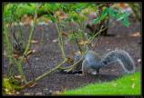 b070920 - 3960 - Kilkenny