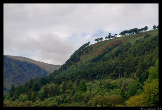 b070921 - 4043 - Glendalough