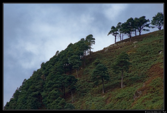 b070921 - 4090 - Glendalough