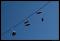 b070922 - 4256