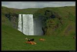 b070708 - 0096 - Skogafoss