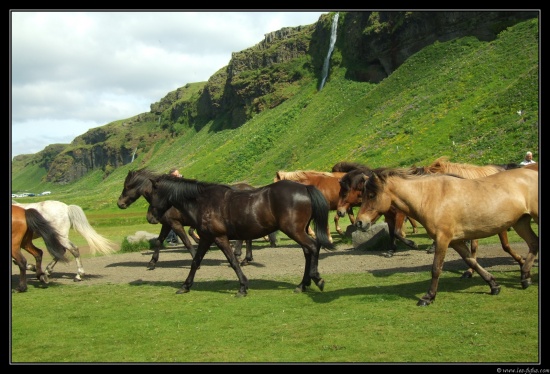 b070708 - 0075 - Seljalandsfoss