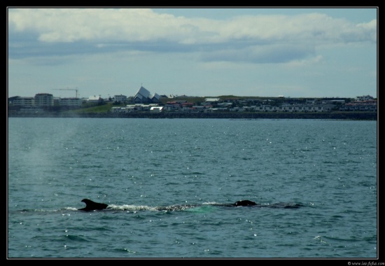 b070714 - 1154 - Reykjavik