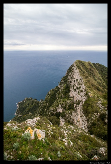 Naples 2015