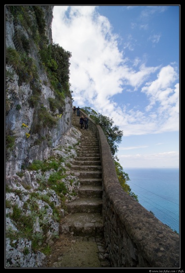 Naples 2015