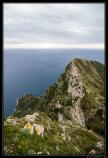 Naples 2015
