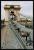 b080424_7551