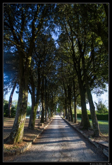 Toscane