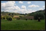 Toscane