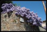 Toscane