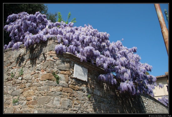 Toscane