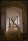 Vienne