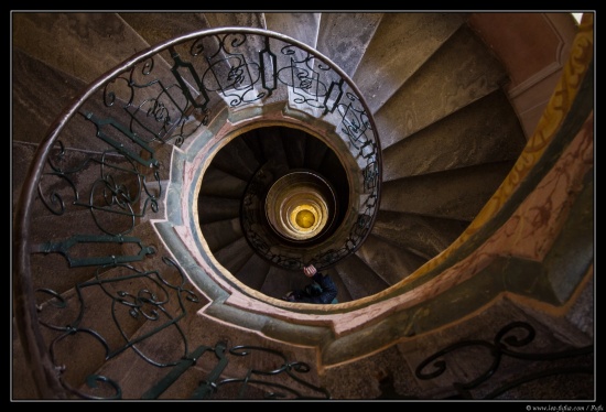 Vienne