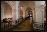 Vienne